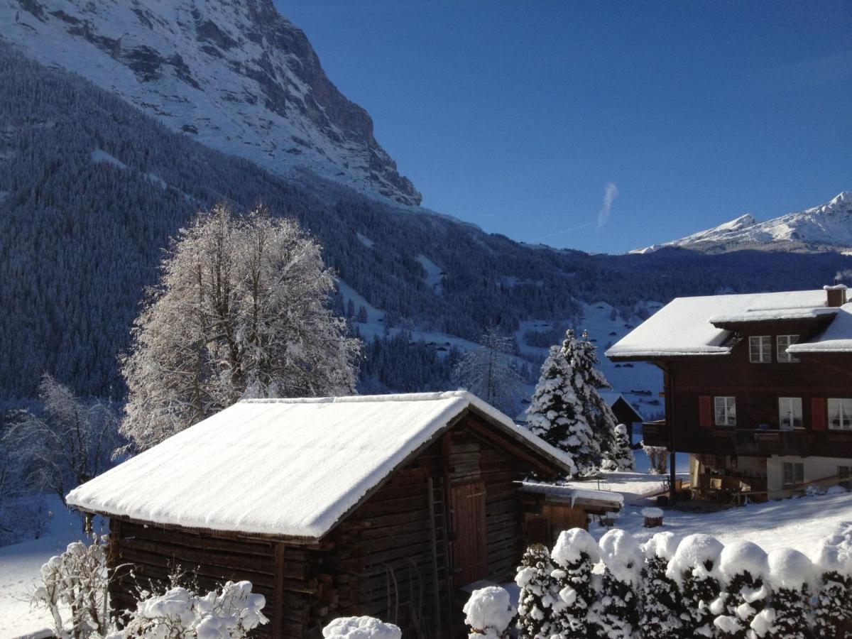 Apartment Chalet Baergsunna-1 By Interhome Grindelwald Dış mekan fotoğraf
