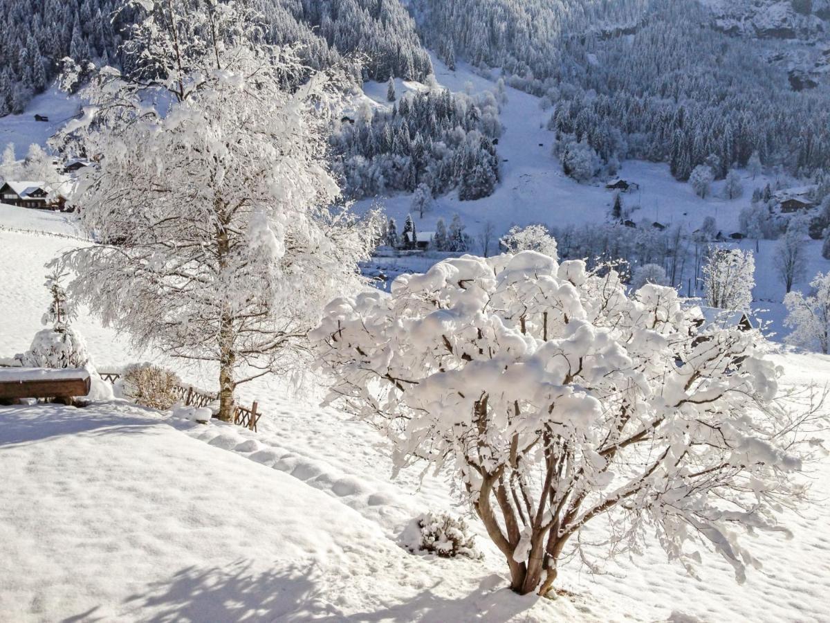 Apartment Chalet Baergsunna-1 By Interhome Grindelwald Dış mekan fotoğraf