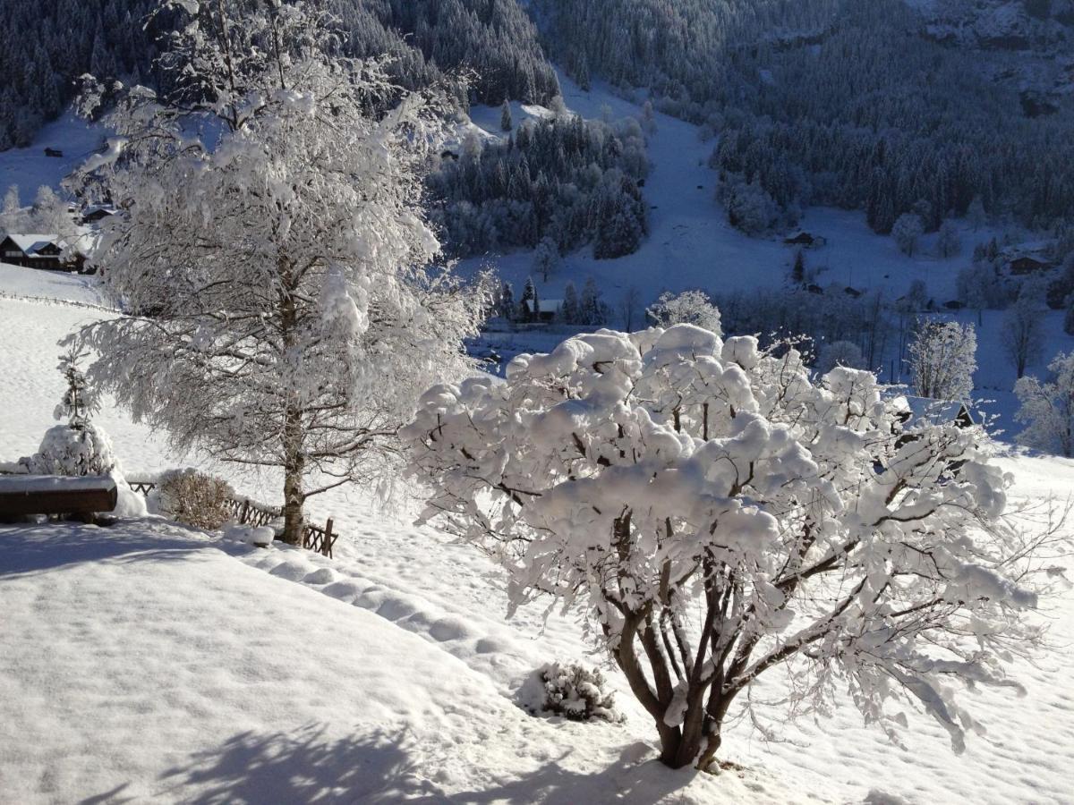 Apartment Chalet Baergsunna-1 By Interhome Grindelwald Dış mekan fotoğraf
